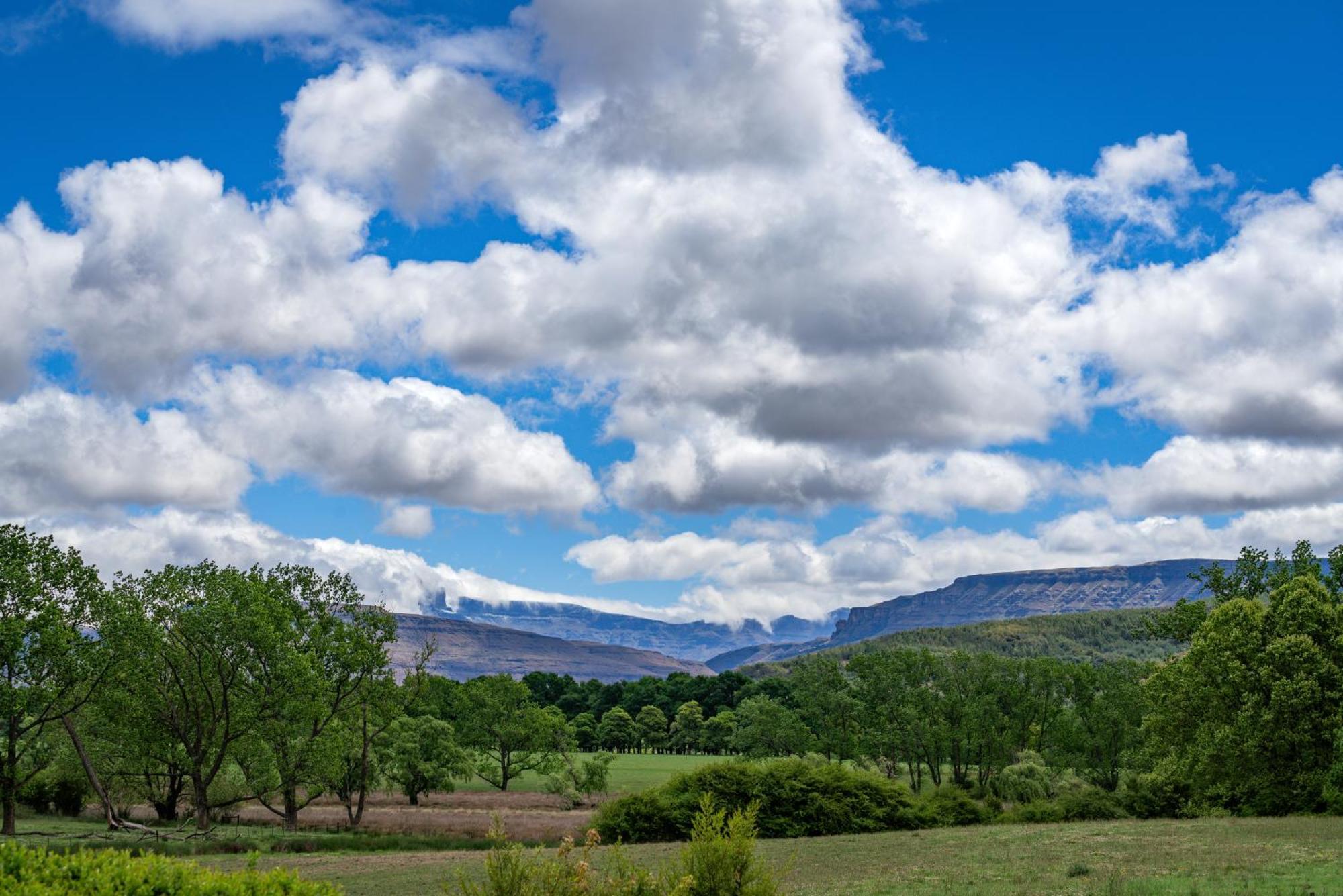 Molweni - Kamberg Valley B&B Rev Estates Exteriör bild